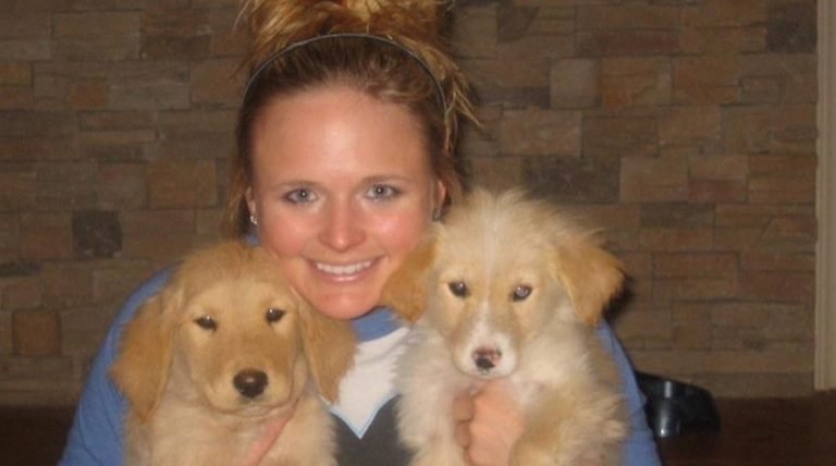 Miranda Lambert’s Beloved Rescue Dog Passes On