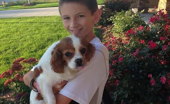 Boy Meets Puppy Mill Survivor and New Best Friend for the First Time