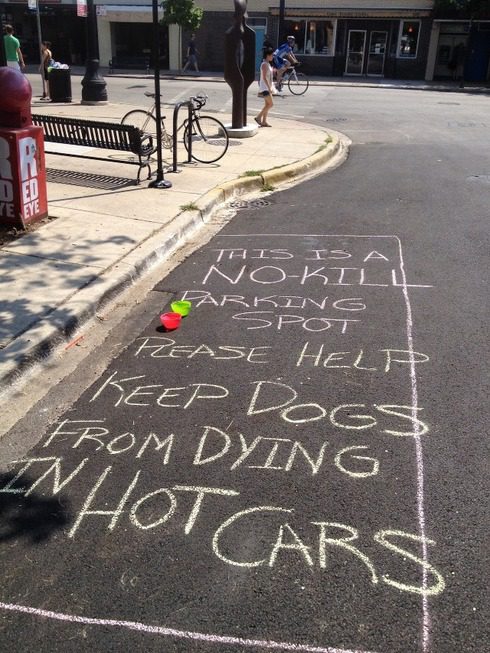 Help prevent dogs from dying in hot cars