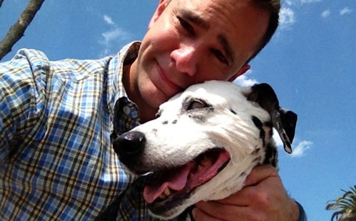 Man Says Goodbye to Rescued Dalmatian Who Touched Many Hearts