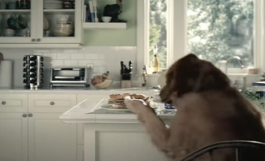 Dog Hilariously Covers Up  Stealing Food In This Classic Ad