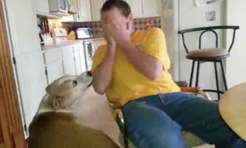 Sweet Man Plays Peek-a-boo with Shy Rescue Dog