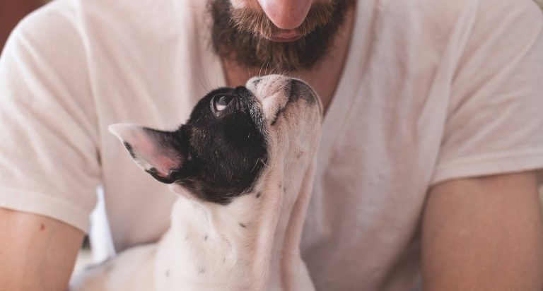 10 Awesome Gift Ideas for the Dog Dads in the Family