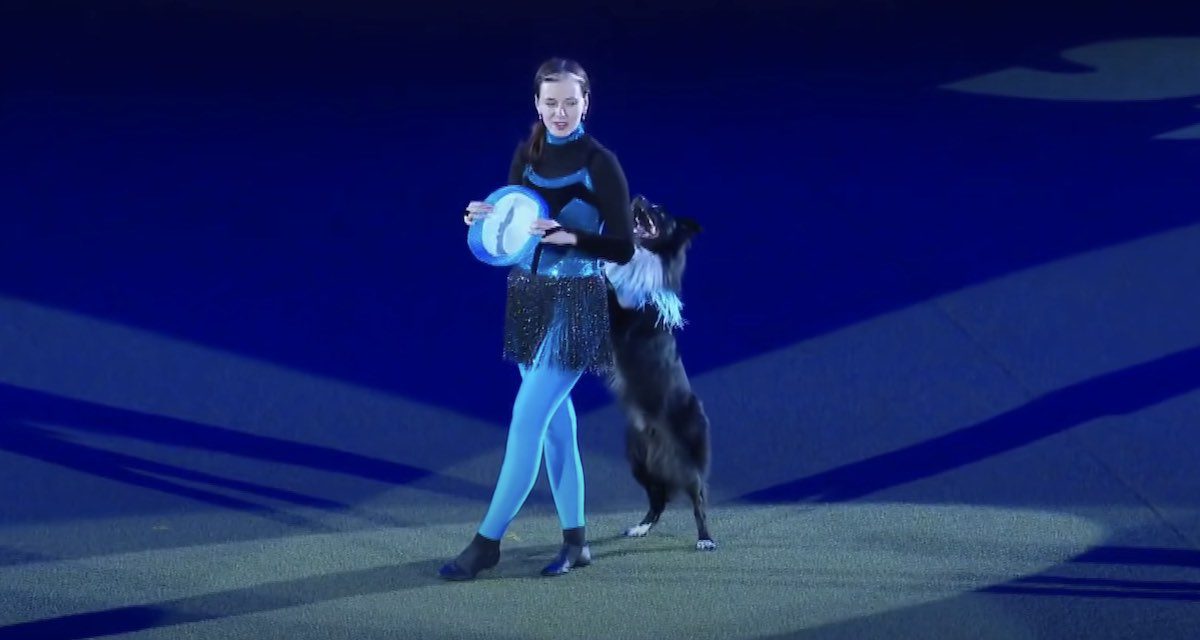 Border Collie’s High Energy Performance In Heelwork to Music Wins Top Prize