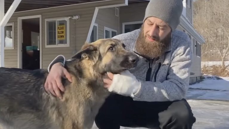 Dog Leads Police To Crashed Truck Where Her Owner Lay Injured