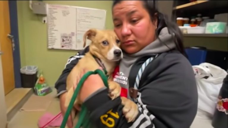 ‘This One Shook Us All,’ Seasoned Rescuers In Tears While Saving Dogs