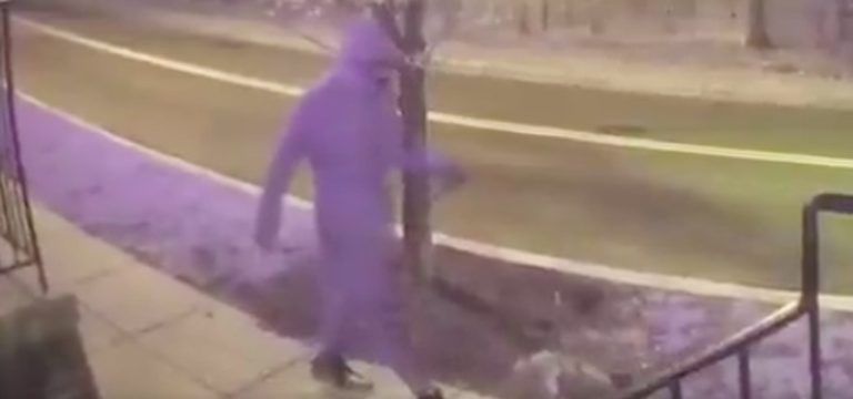 Ring Cameras Catch Man Abusing Puppy, Large Reward Being Offered For Information