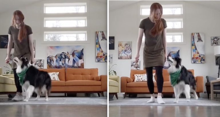 Dog Loves Irish Dancing With Her Mom