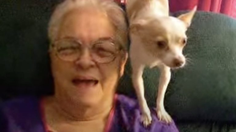 Chihuahua Sings Sweetest Duet with His Mom