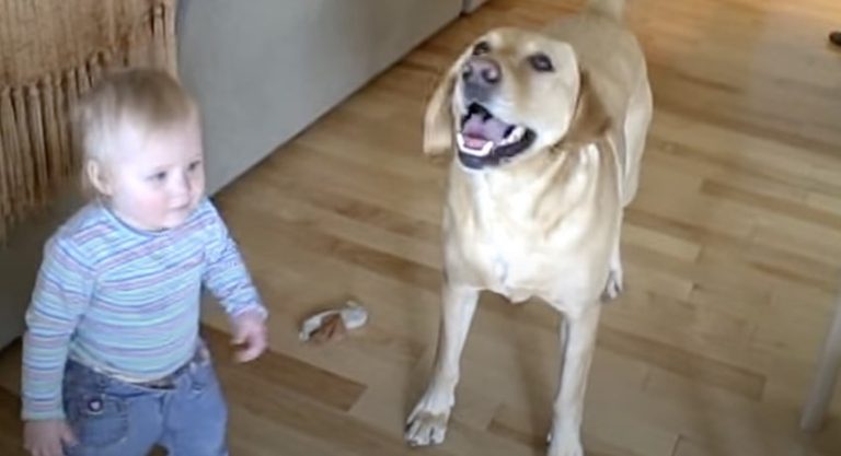 Dog Adorably Teaches Baby to Jump