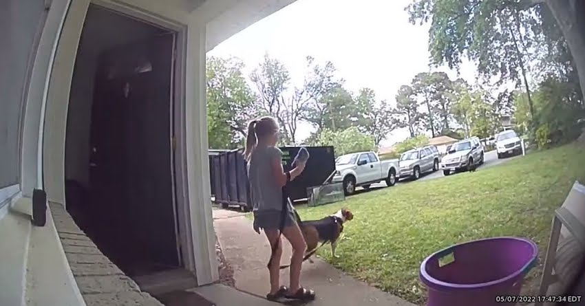 Girl Hangs on Tight when Dog Bolts to Say Hello to Other Dog