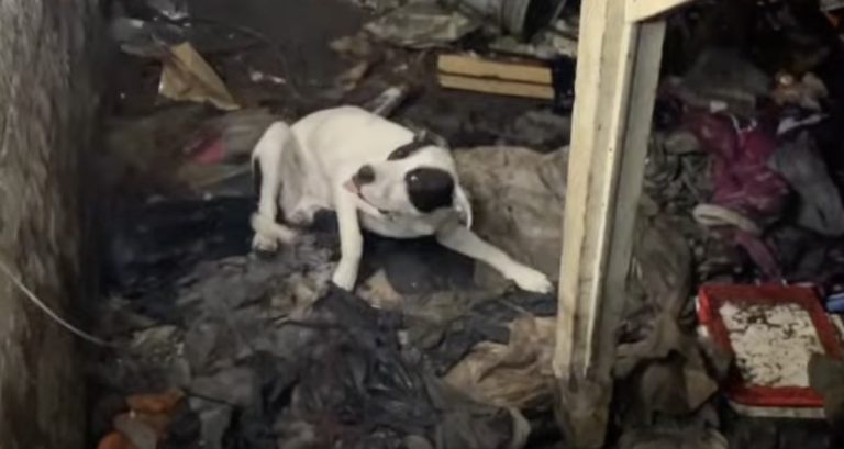 mudder rescued from abandoned home