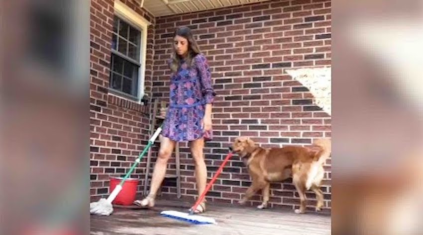Dog Loves To Do Everything Her Mom Does
