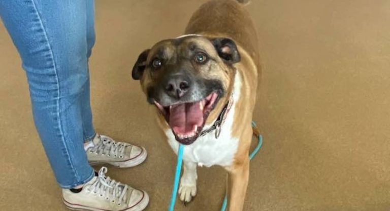 Baby Girl dog adopted after nearly 5 years waiting