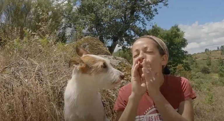 Dog Loves Being Encouraged to Sing with Her Family