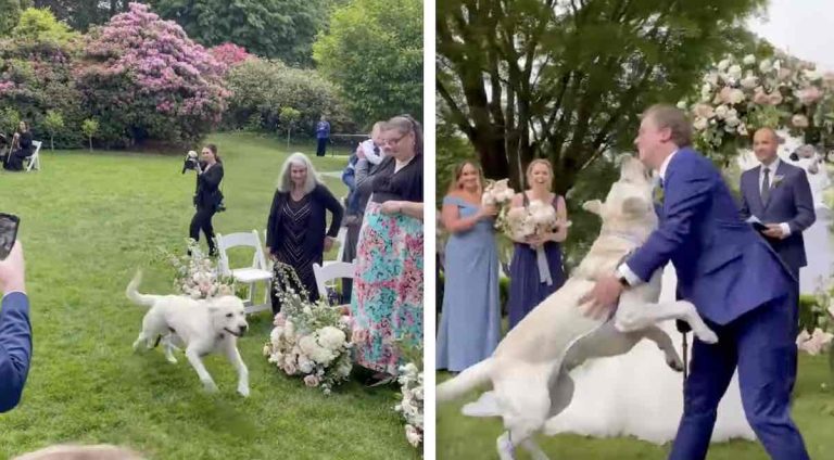 dog eagerly runs down aisle at wedding