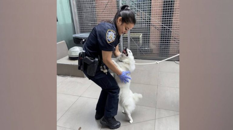 officer adopts dog she saved from hot car