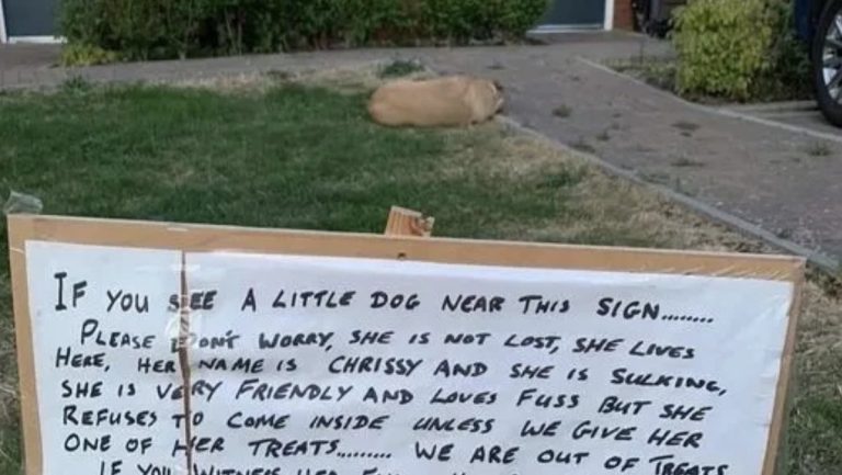 Controversial Sign About Family’s ‘Dramatic Dog’ Has Pet Lovers Talking