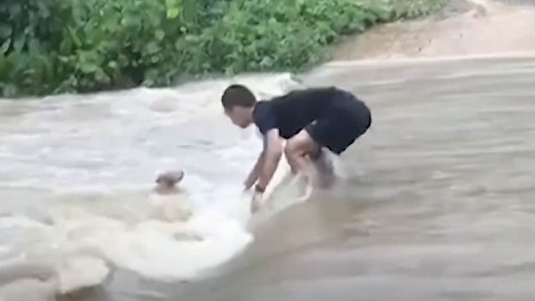 Thai man saves stray dog in flooding