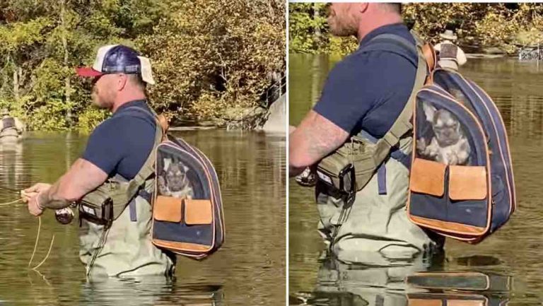 frenchie goes fishing