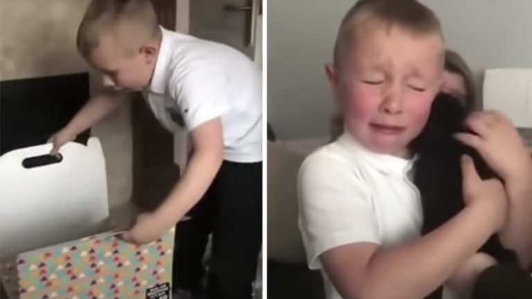 bullied boy gets puppy