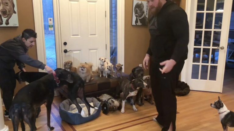family photo with 17 dogs