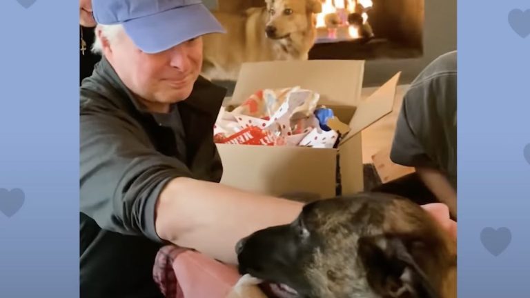 man surprised by foster dog