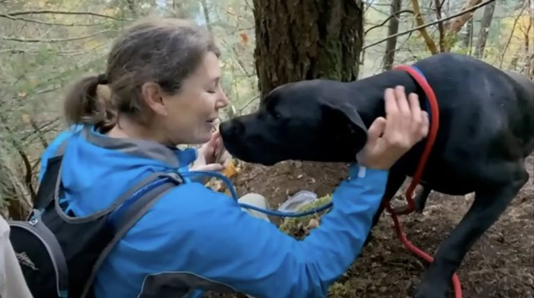 Lost Dog Reunites With Family After Surviving 7 Nights on Steep Cliff