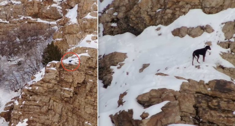 Weber County Sheriff Search and Rescue