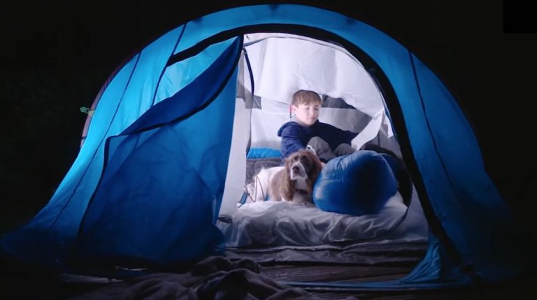 ashley and bertie crufts hero