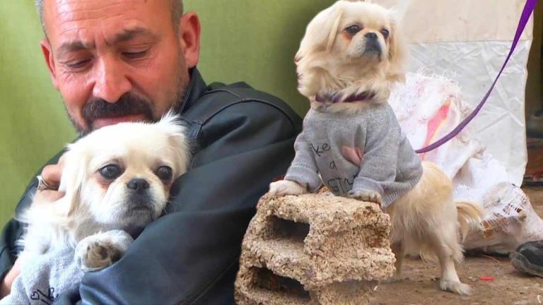 Family Left Homeless After Turkey Quake Adopt Adorable Dog They Find In Rubble