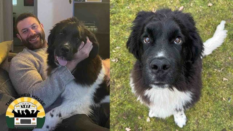 Longtime Animal Rescuer Gets Gift He Never Expected – A Dog