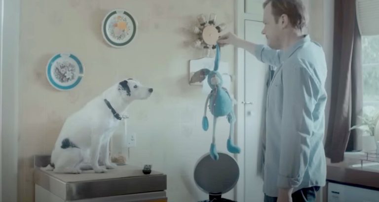 Dog Adorably Convinces His Dad Not To Throw Out His Chewed Up Toy