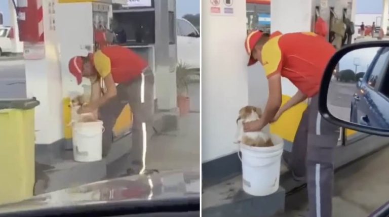 gas attendant helps dog