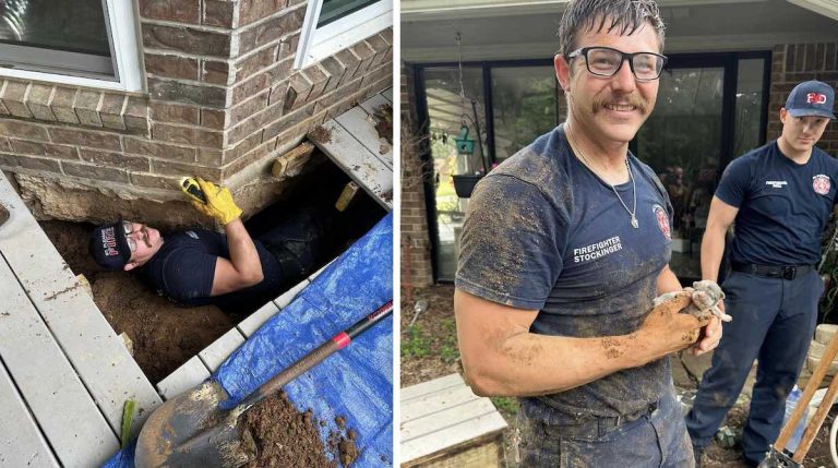 firefighters save puppy