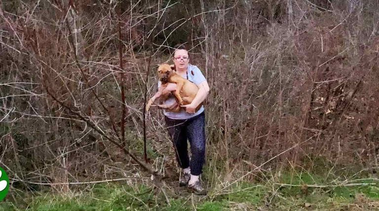 couple save bait dog