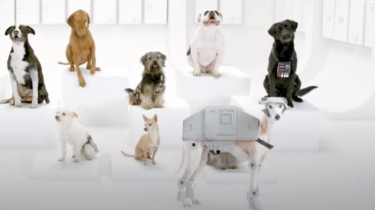 Dogs Hilariously Sing Star Wars Theme Song in Classic Ad