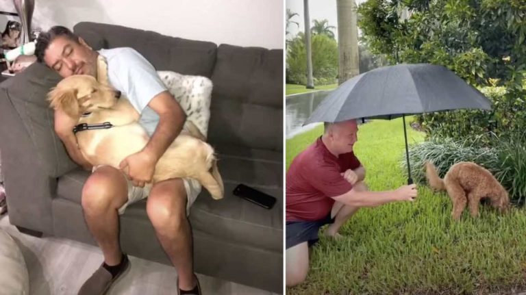 dads with dogs compilation
