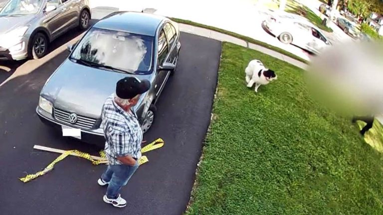 man reunites with stolen dog