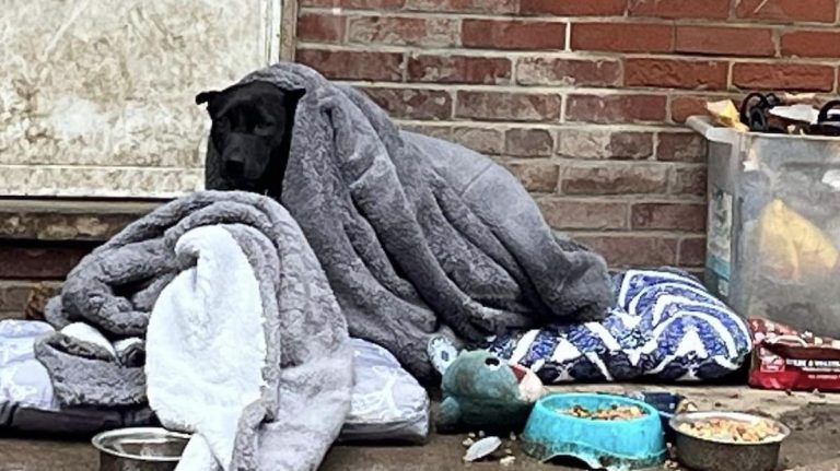 Mary and Rhoda rescued by Speranza Animal Rescue