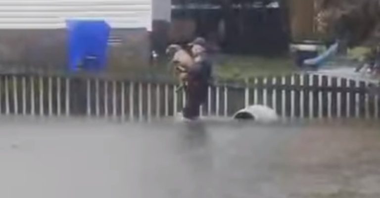 officer saves dog from drowning