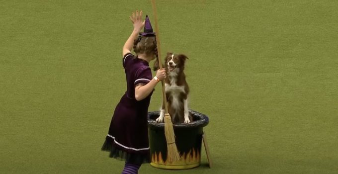 ‘Witch’ with Magical Dancing Dog Cast a Spell over Audience