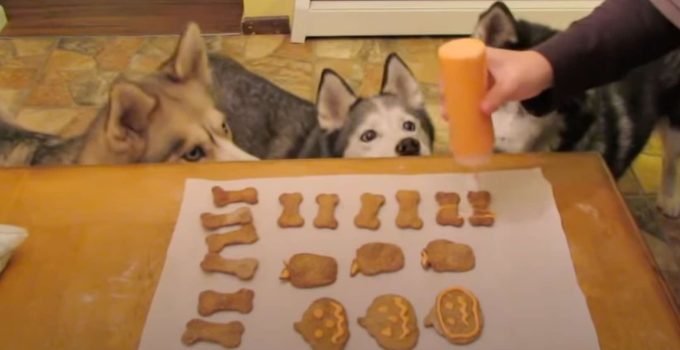 How to Make Pumpkin and Peanut Butter Dog Treats