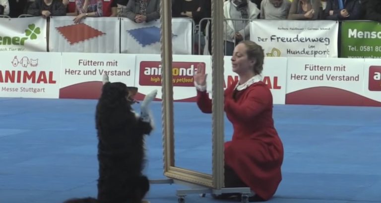 Jessy and Elke Boxoen