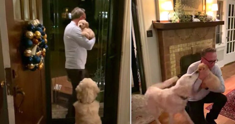 Finn meets his new brother