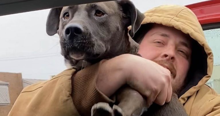 Parking Lot dog rescued