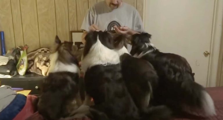 Dad Gives Each Dog a Treat, But One Dog Outsmarts Them All