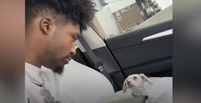 Colorado Football Player Finds Abandoned Dog and Kitten When He Goes for a Hike
