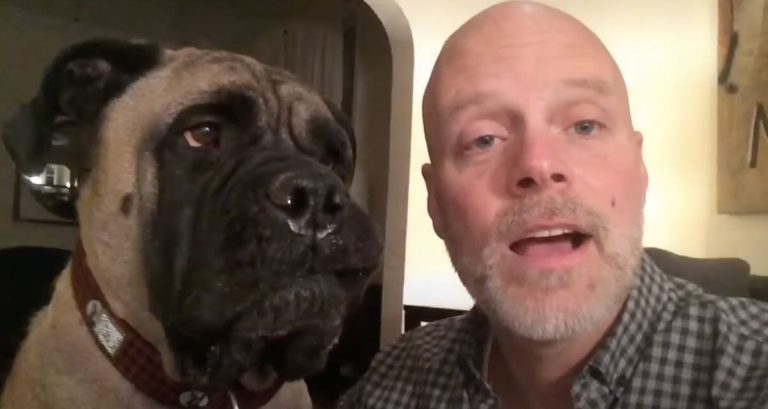 Bullmastiff hates Christmas songs