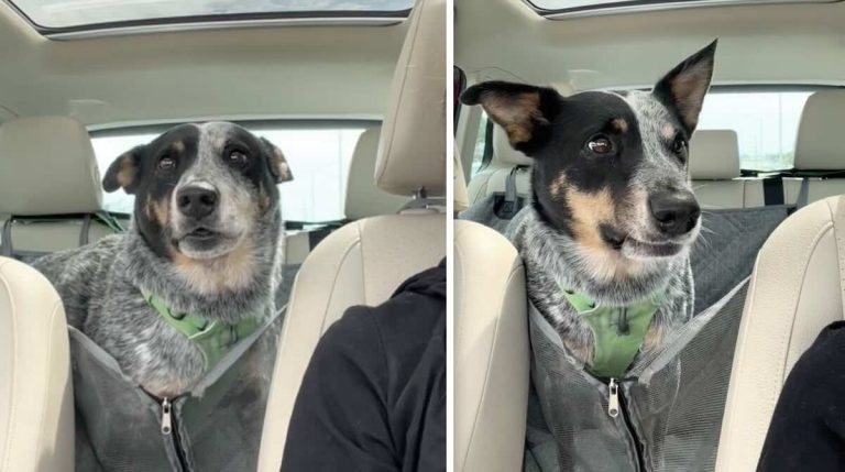 Nosh reacts to hearing he's visiting grandparents